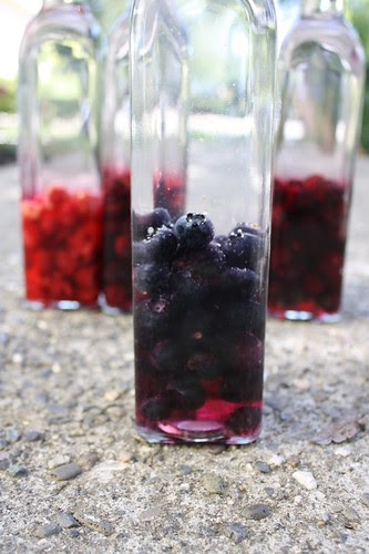 vodka_blueberry02