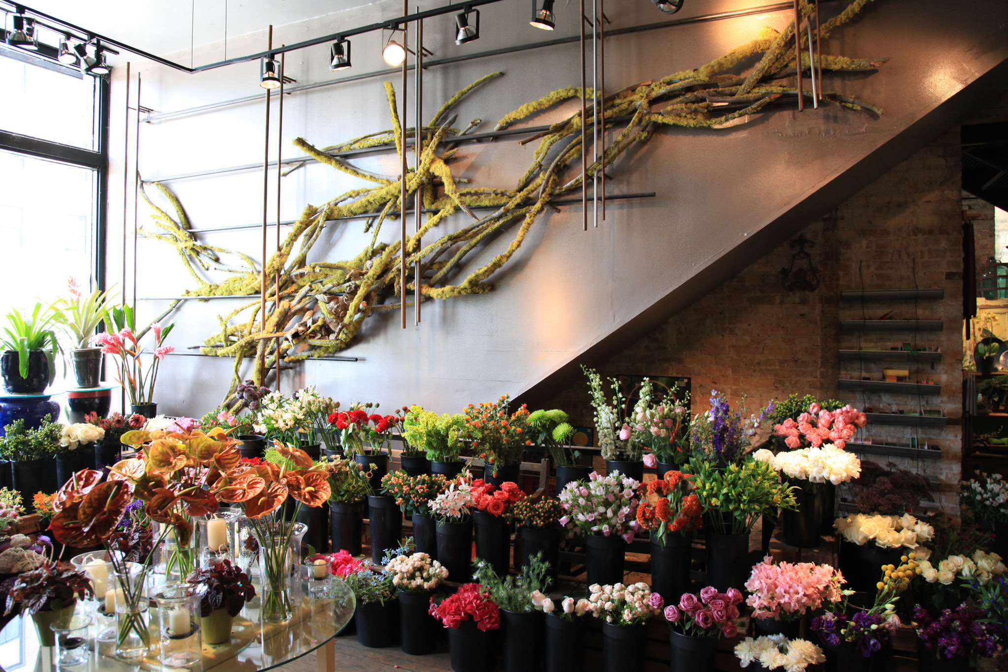 pistil home and garden