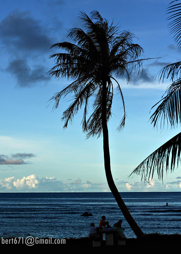 island silhouette