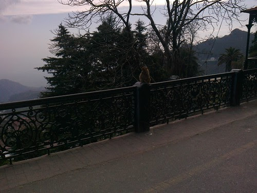 The Mall, Mussoorie by Proloy Chakroborty