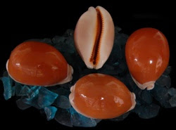 Visit Us @ www.MumbaiHangOut.Org