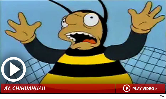 112814_bumblebee_guy_launch