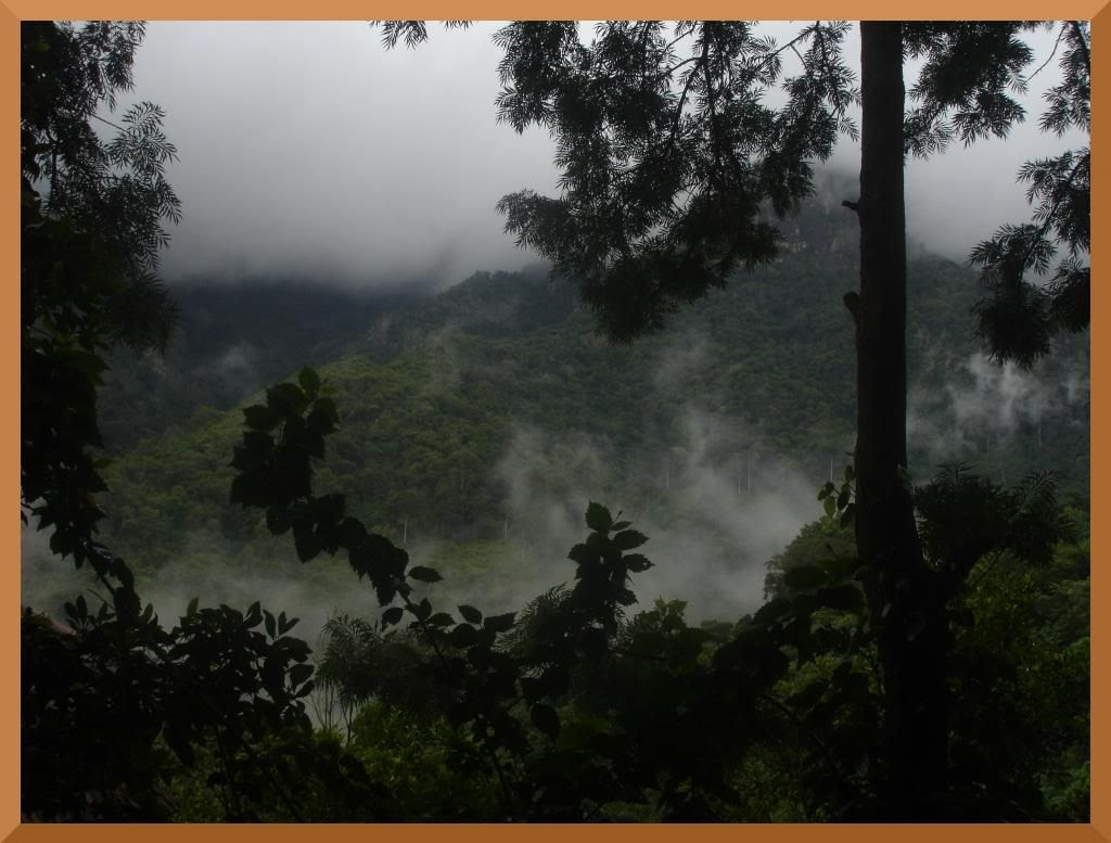  photo simpler_border.jpg