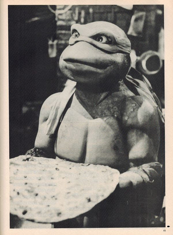 photo bbturtles59_zpst4ksp0pp.jpg
