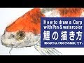 いろいろ 鯉 イラスト 簡単 555906-鯉 イラスト 簡単