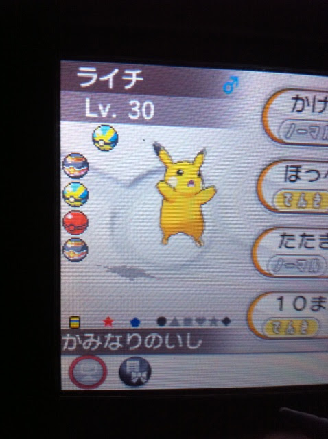色違いに釘付け ピカチュウ