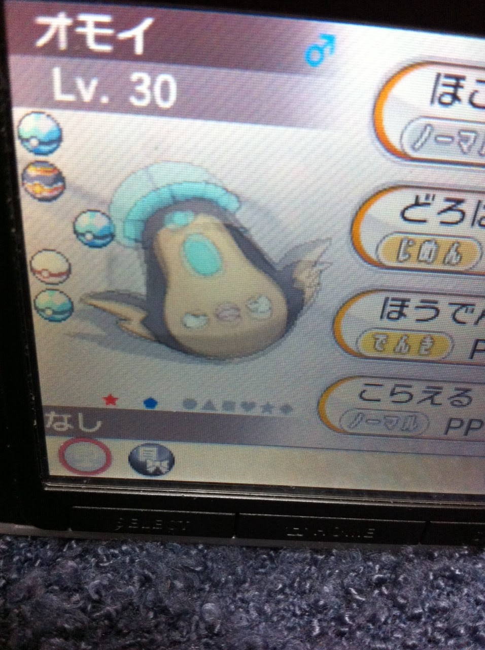 マッギョ 色違いに釘付け