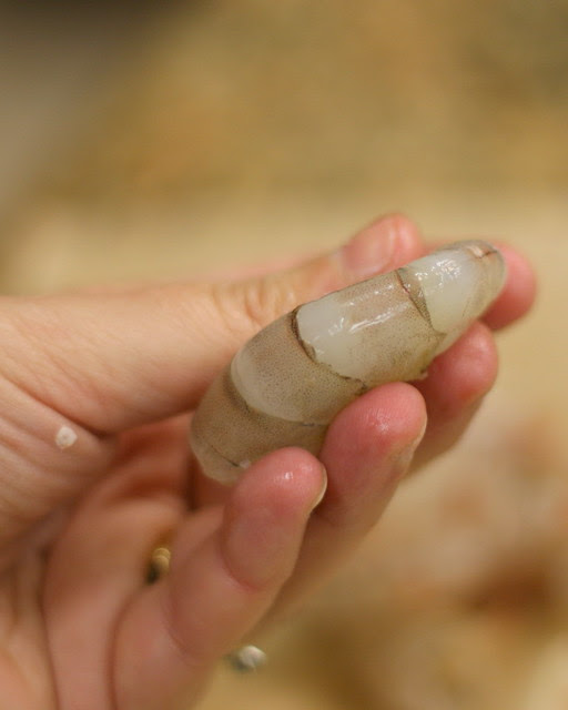 Looking for the Vein