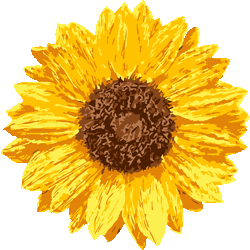 りあるたっち向日葵 No 028 リアルひまわりのイラスト アイコン 条件付フリー素材集 スマホなど携帯電話対応