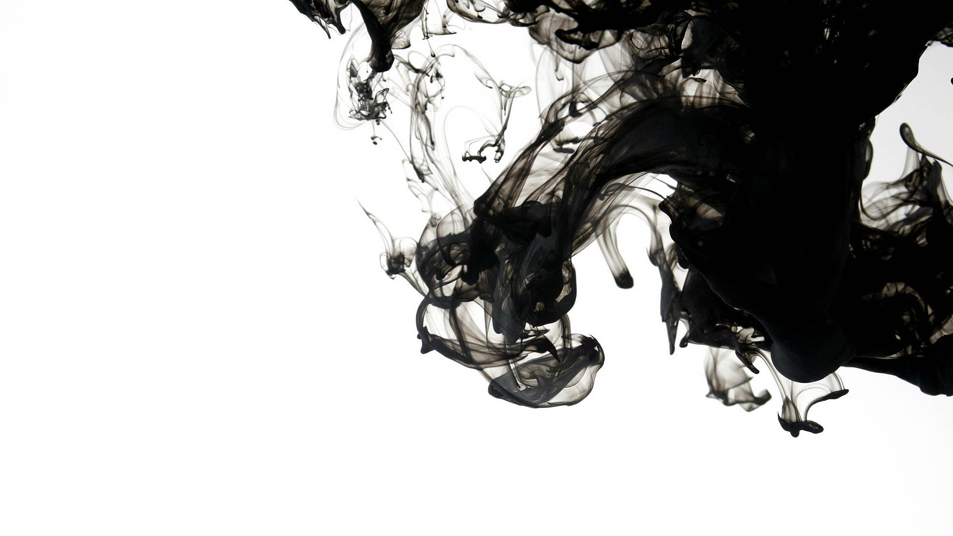 money backgrounds tumblr Wallpaper   WallpaperSafari Smoke