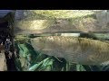 ピラルク 水族館 九州 274953-ピラルク 水族館 九州