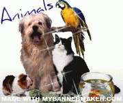 create your own banner at mybannermaker.com!