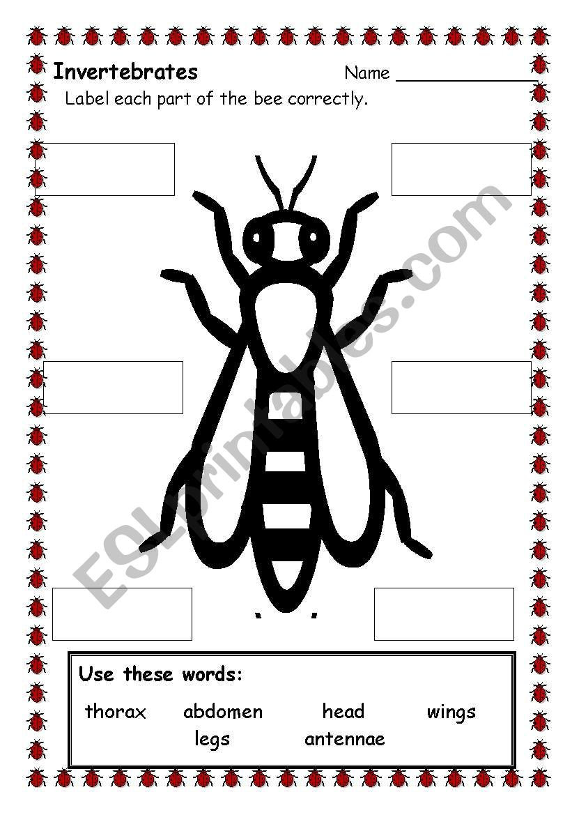 grammar learn how by ESL bee worksheet parts diapau grammar learn how by ESL bee worksheet parts diapau