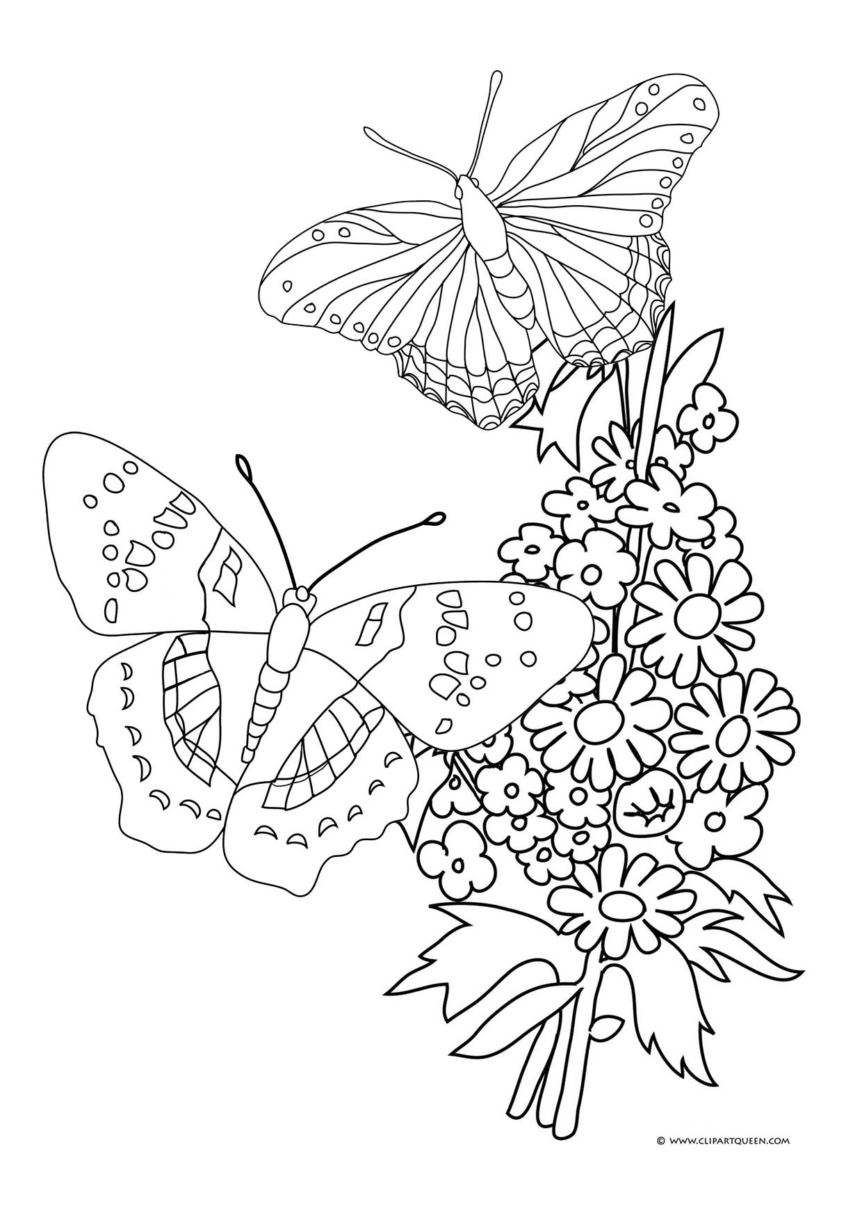 Butterflies And Flowers Drawing at GetDrawings | Free download