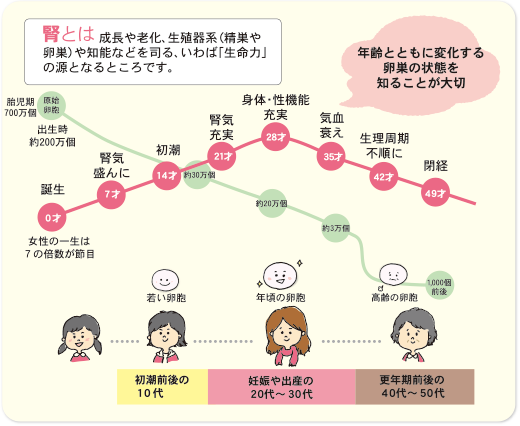 龍虎堂薬局 子宝相談 女性不妊