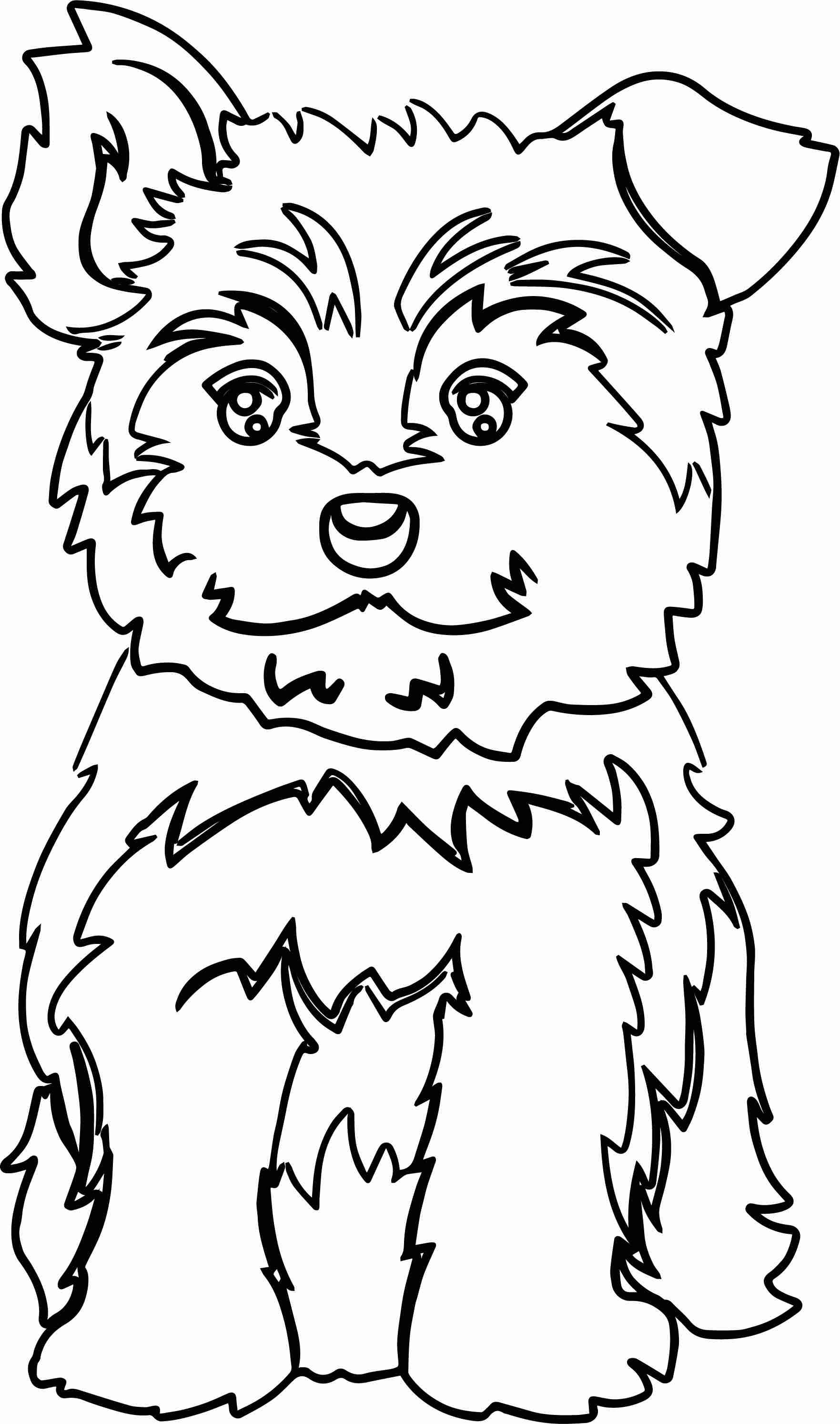 yorkie coloring pages at getcoloringscom free printable colorings
