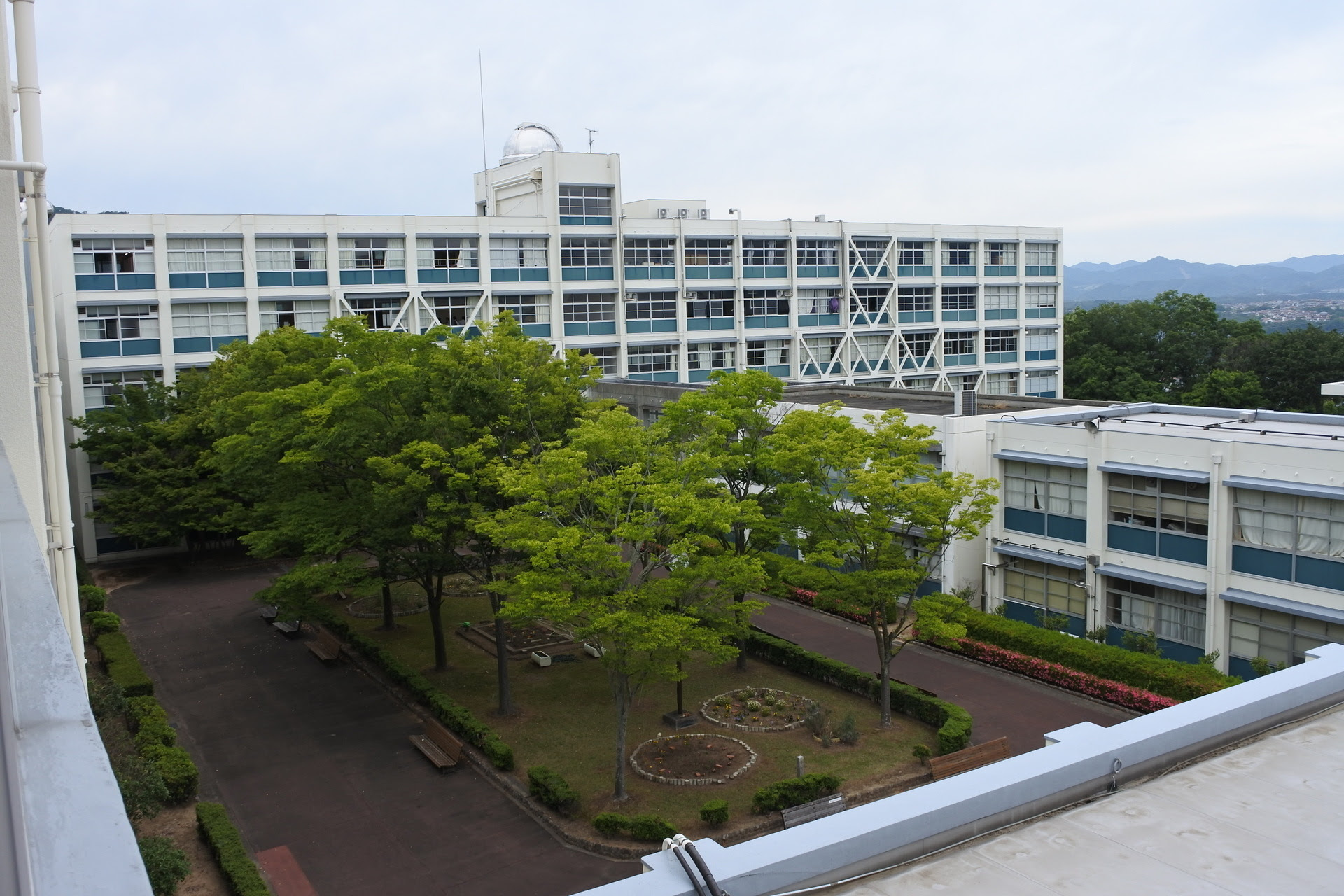DSC_3154.JPG