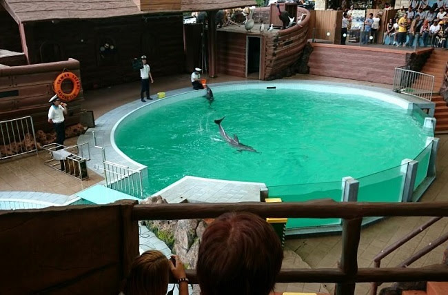 Taman Safari Bogor Wildlife Adventure In Indonesias 1st