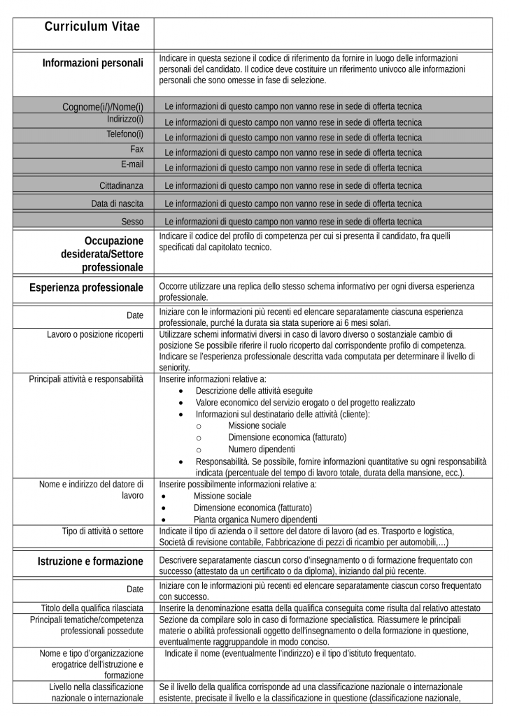 6 2 Template Del Curriculum Vitae Open Government Partnership Italia