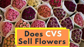 Discover Whether CVS Sells Flowers: Your Ultimate Guide - A Comprehensive Look into the Availability of Blooms at CVS Stores