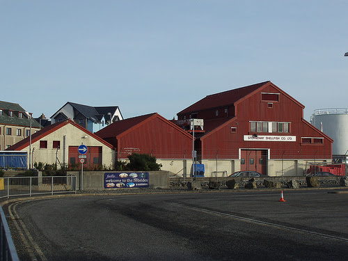 23 November 2007