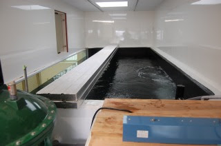 夢の超ビッグタンク アロワナ ピラルク飼育水槽新設工事 京阪錦鯉センター