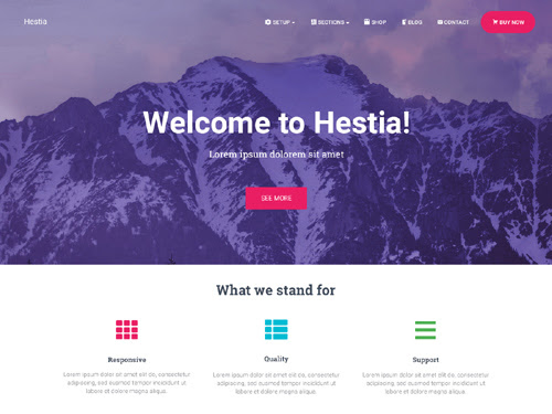 WordPress Hestia主题的定制和优化