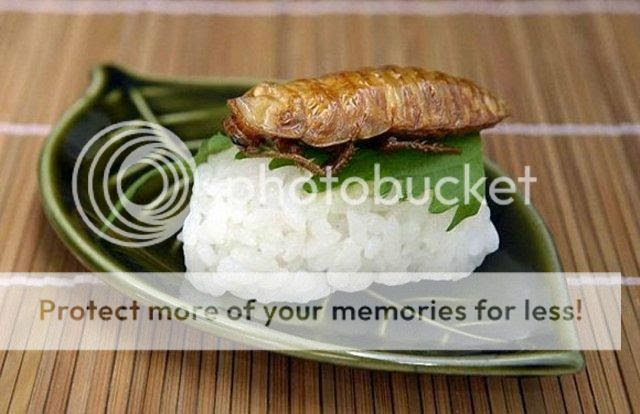 japanese cuisine 03 Olahraga "Nikmat" Para Siswa & Siswi di Jepang
