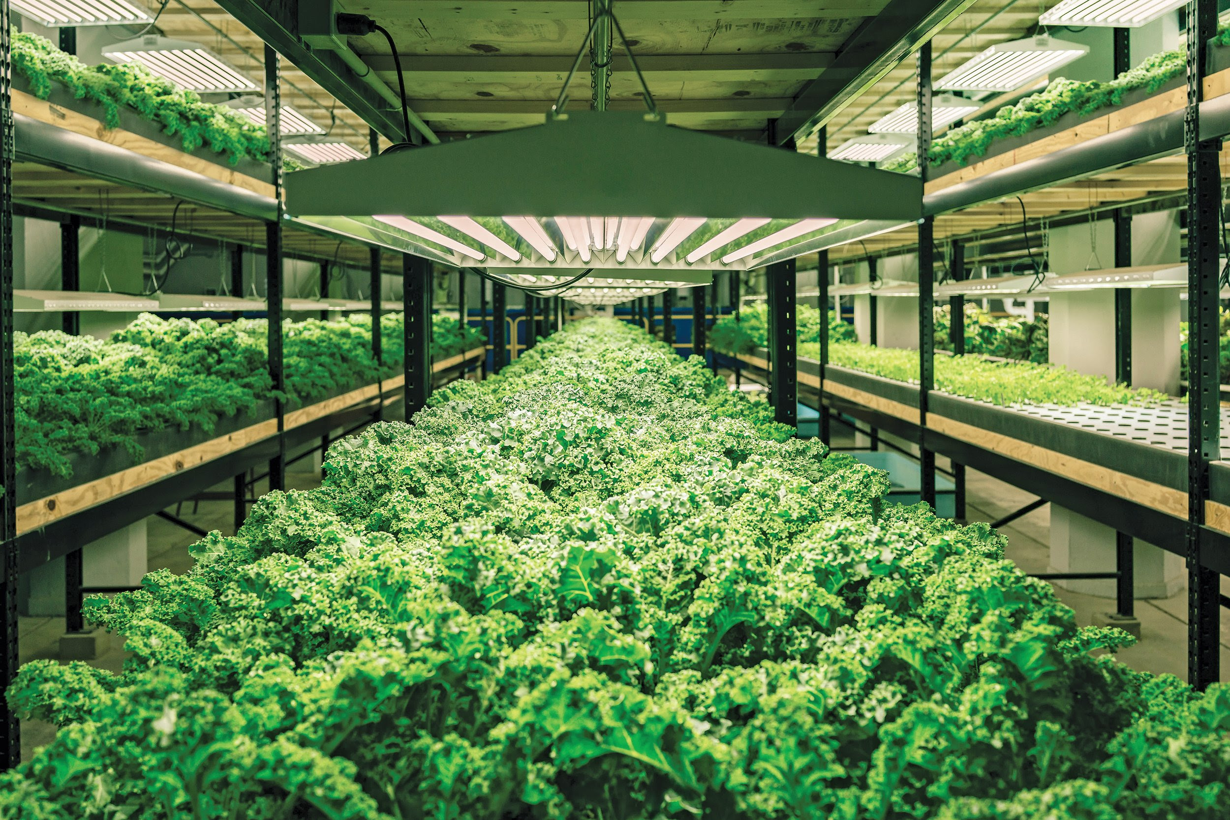 Aquaponics Revives an Ancient Farming Technique to Feed ...