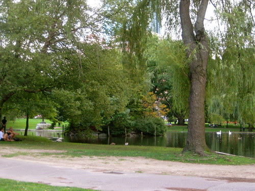 I love the Public Garden almost as much as the BPL