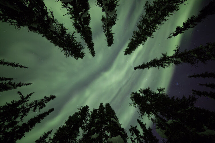 How to Photograph Northern Lights (The Aurora Borealis)