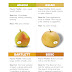 Asian Pear Varieties - Many customers ask for this pear in preference to other pears grown at our orchard.