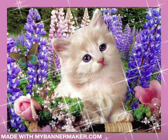 Create your own banner at mybannermaker.com!