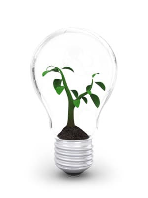 How to nurture an idea