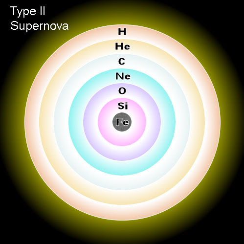 The core of a red or blue supergiant moments before exploding as a supernova looks like an onion with multiple elements "burning" through the fusion process to create the heat to stay the force of gravity. Fusion stops at iron. With no energy pouring from the central core to keep the other elements cooking, the star collapses and the rebounding shock wave tears it apart. Credit: Wikimedia
