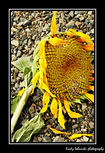 090813_01_framed