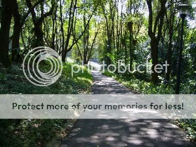 Image hosted by Photobucket.com