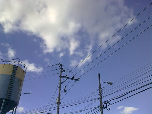 Cielo 3.8