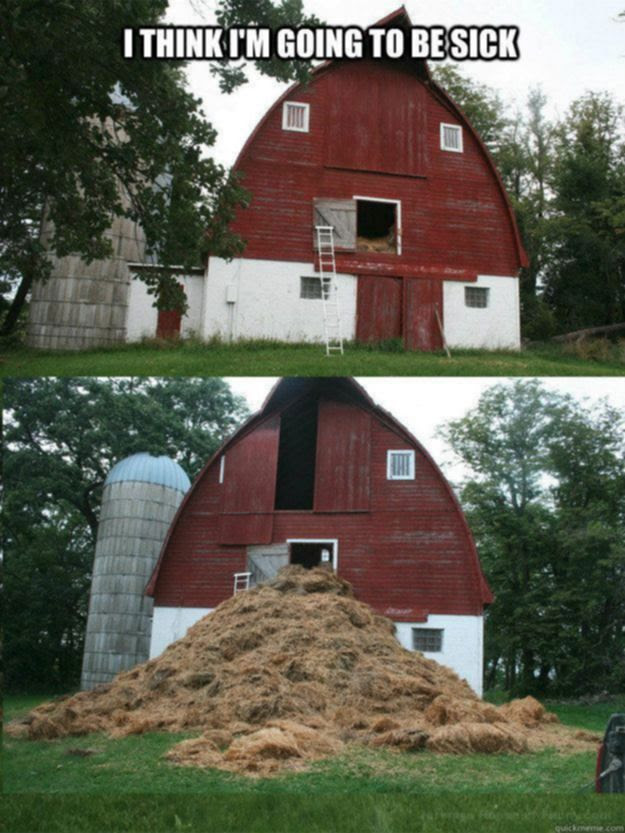 The barn has a weak constitution. Funny real estate house and home humor.