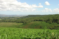 Dartmoor #1