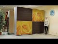 Video Современный дизайн шкафа купе. Заказать шкаф купе VIP.mp4