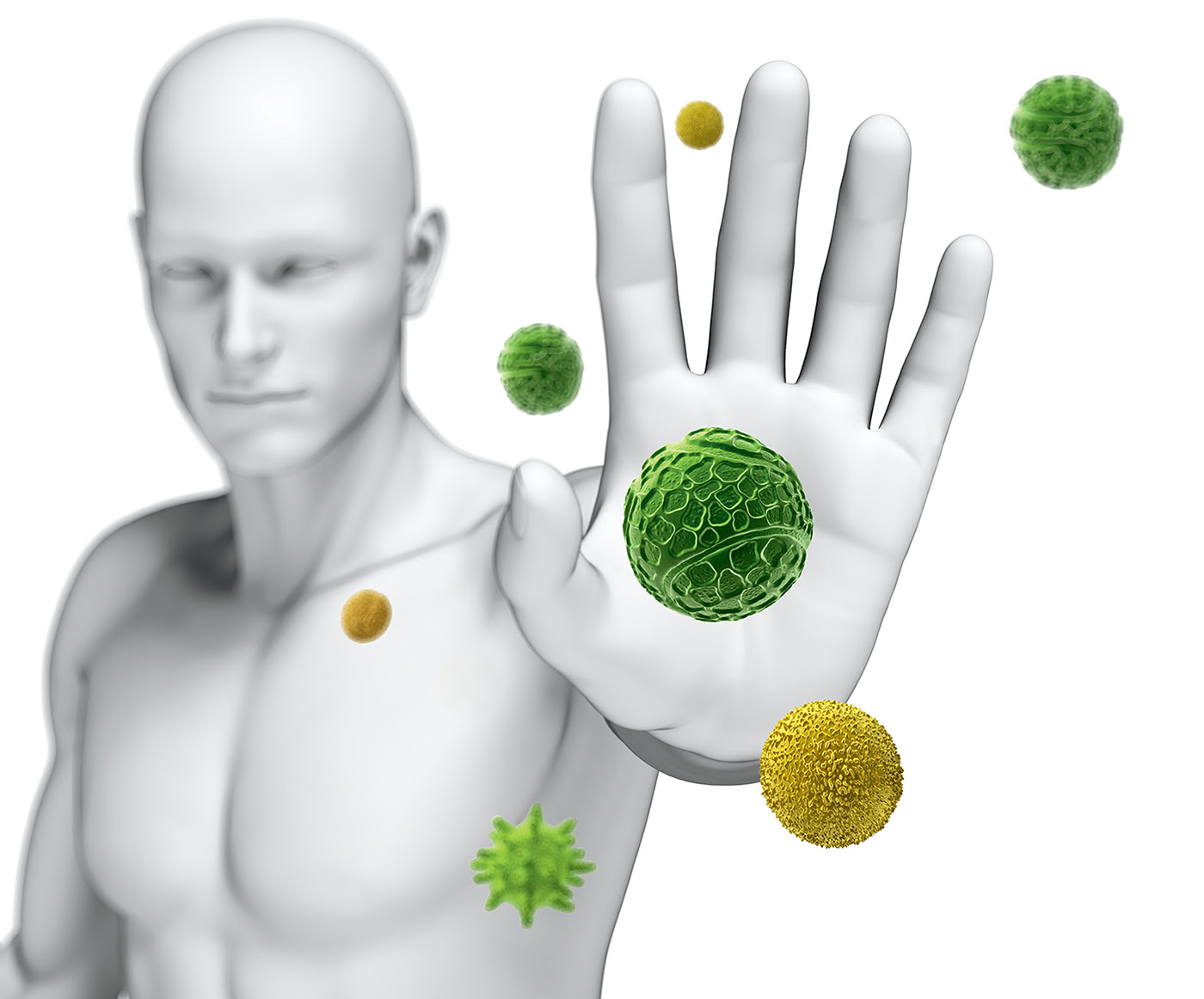 Immune Protection - The Forgotten Foods