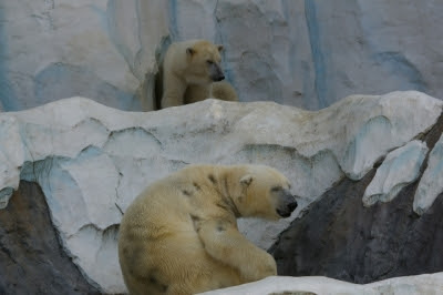 久しぶりの休日は雨の動物園 パク ヘジョン韓国語教室
