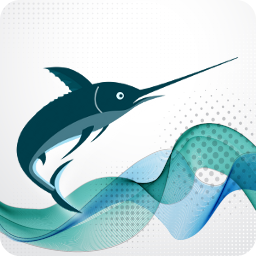 Return to Swordfish Class Page Return to Swordfish Class Page