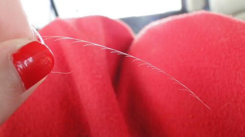 split end on Tumblr