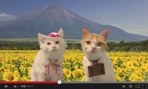 旅する猫 にゃらん にガールフレンド登場 夏旅で恋の予感なにょだ オタ女