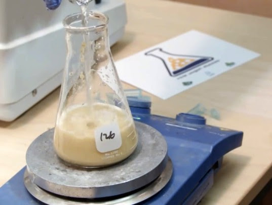 Real Vegan Cheese, real vegan cheese, vegan cheese, vegan milk, vegan casein, yeast cheese, yeast vegan cheese, yeast cheese making, bioengineered vegan cheese, crowdfunding, crowedfunding vegan cheese, indiegogo, indiegogo vegan cheese,