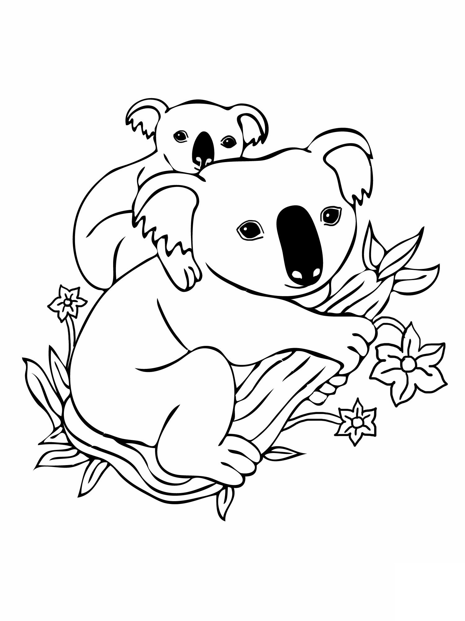 Dessin gratuit de koala a imprimer et colorier