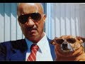 10+ Dads Who Didnt Want The Damn Dogs In Their Lives - Fun Facts About Dogs