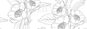 Drawing Floral Pattern - Line Drawing Flower Pattern High Res Stock Images Shutterstock : ✓ free for commercial use ✓ high quality images.